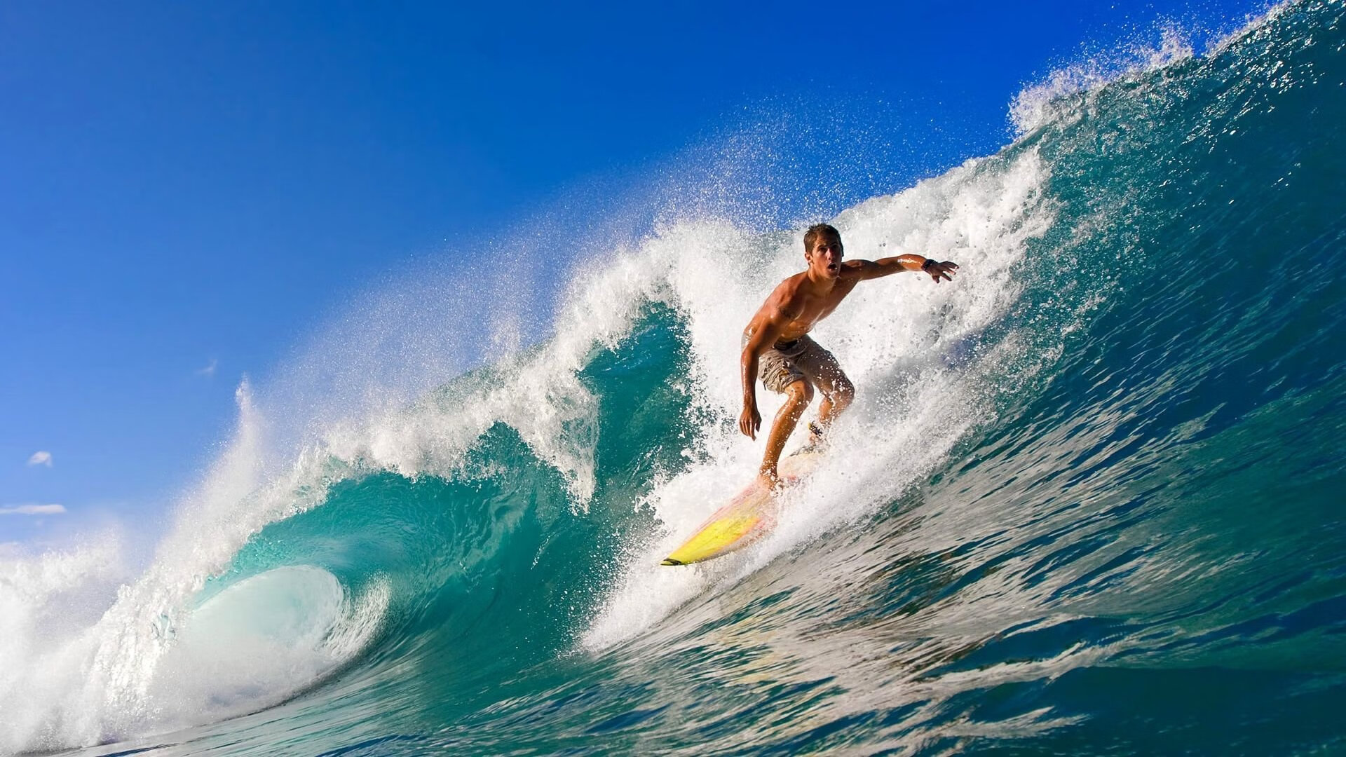 巴黎奥运临近，中国跳水队开启封闭训练